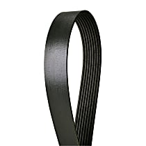 Serpentine Belt, 6.6L, enginedesignationname: 3116, enginemfrname: Caterpillar, Alternator and Air Conditioning; With 80 1/2" Belt - 