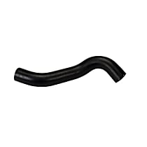 Radiator Hose Lower, Primary #1, 6 Cyl 3.4L