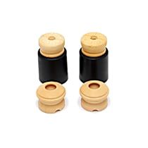 D193-3001 Suspension Kit