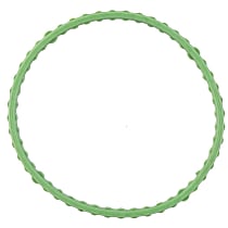 Intake Plenum Gasket - 
