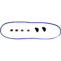 VC902G Valve Cover Gasket
