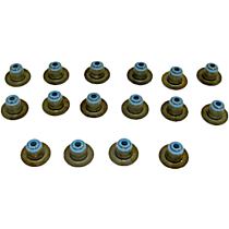 Valve Stem Seal - Direct Fit, Set of 16