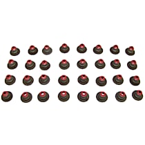 VSS3155 Valve Stem Seal - Direct Fit, Set of 32