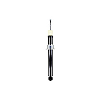 DT346427 Front, Driver or Passenger Side Shock