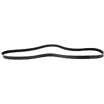 Main Drive Serpentine belt, 6 Cyl 3.1L - Main Drive