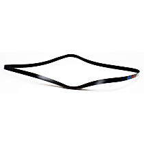 Main Drive Serpentine belt, 6 Cyl 3.1L - Main Drive