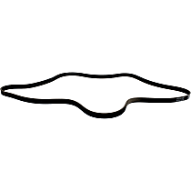 Main Drive Serpentine belt - Main Drive