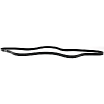 Main Drive Serpentine belt, 8 Cyl 4.7L
