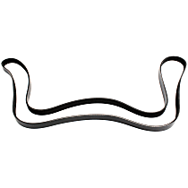 5060875 Serpentine belt, 6 Rib Count