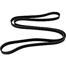 Main Drive Serpentine belt, 6 Cyl 3.8L - Main Drive