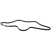 Main Drive Serpentine belt, 6 Cyl 4.9L, without A.C. - Main Drive