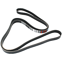 Main Drive Serpentine belt, 6 Cyl 3.8L