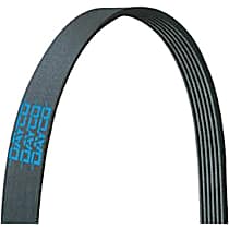5081254 Main Drive Serpentine belt, 6.0L, 8Cyl