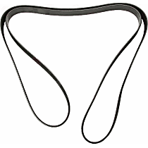 Serpentine Belt - 