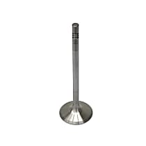 996-105-273-04 Exhaust Valve - Direct Fit, Sold individually