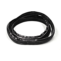 G4052 Windshield Weatherstrip Seal