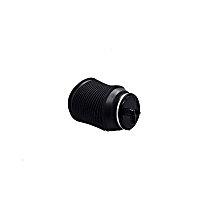 Rear, Driver or Passenger Side, Air Spring