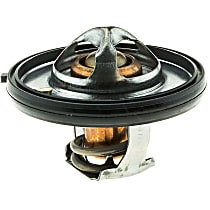 33919 Thermostat