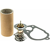 34163S Thermostat