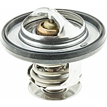 34253 Thermostat