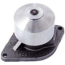 41176HD Heavy-Duty Series Water Pump, New