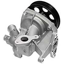 43088BHWT Light-Duty Series Water Pump, New