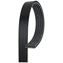 Serpentine Belt, 6 Cyl 2.5L, GAS, Alternator and Air Conditioning - 