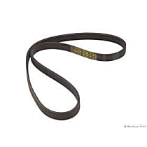 K060450 Serpentine Belt - V-belt, Direct Fit, Sold individually