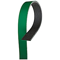 Serpentine Belt, 6 Cyl 6.7L, with Single Alt. - 