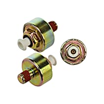 Knock Sensor, 6 Cyl 3.1L - 