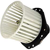 Blower Motor - Rear
