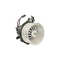 Blower Motor