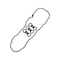 Valve Cover Gasket, Also Use (Qty.) (1) 11 12 7 552 280 gasket, (1) 11 12 7 559 699 gasket, (6) 11 12 7 575 422 spark plug tube., 3.0L, Genuine BMW