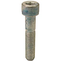 900-067-123-02 GenuineXL OE Replacement Axle Bolt Sold individually