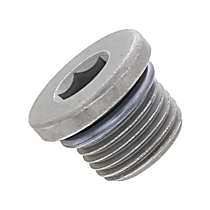 Genuine Porsche Differential Plug - Genuine 95533205700