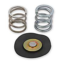 Fuel Pressure Regulator Rebuild Kit - Universal