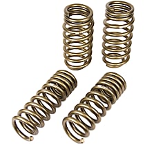 6130010 Lowering Springs - 1 in., 1 in., Set of 4