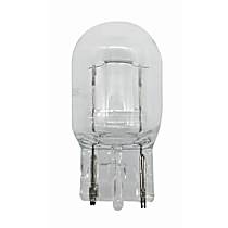 Light Bulb - Incandescent, Set of 2