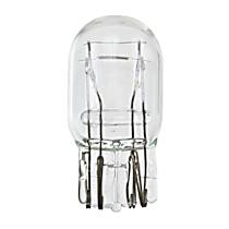 Light Bulb - Incandescent, Set of 10