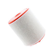 4G0133843L OE Replacement Air Filter
