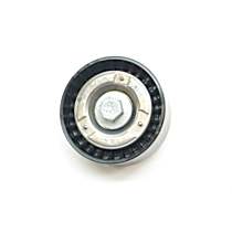 274-202-00-19 Accessory Belt Idler Pulley