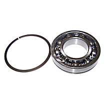 J8136643 Input Shaft Bearing - Direct Fit