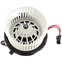 Blower Motor