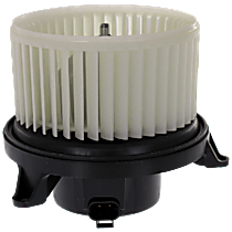 Blower Motor
