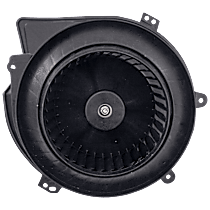 Blower Motor