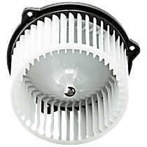 Blower Motor