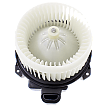 Blower Motor