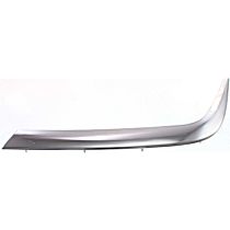 Front, Driver Side Bumper Trim, Chrome