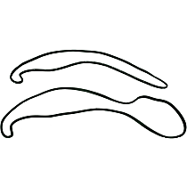 LM 21-F Weatherstrip Seal - Door Seal, Direct Fit, Sold individually