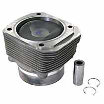 504 36 90 Piston and Cylinder (3.6 Liter, 100.0 mm, 8